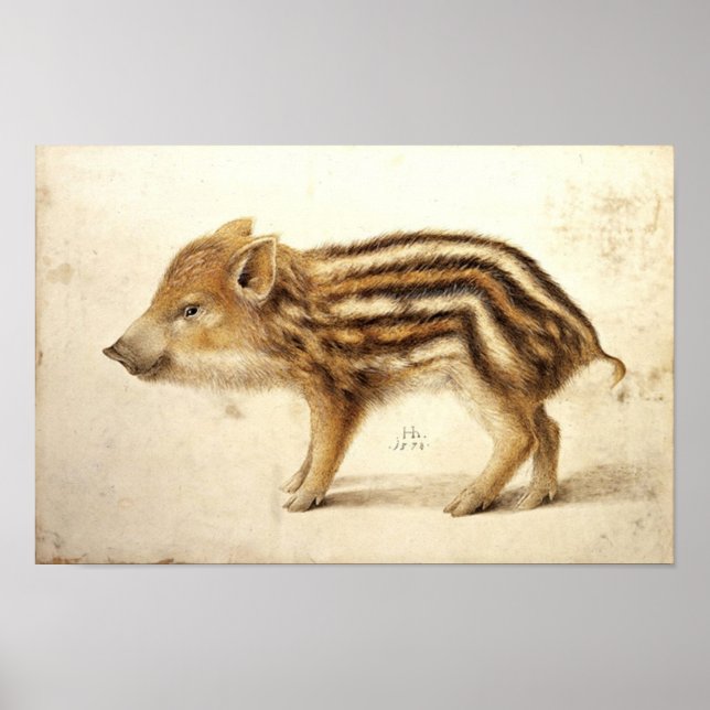 Poster PILOTE DE BARRE SAUVAGE / Dessins animaux (Devant)