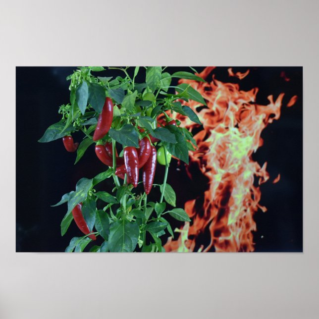 Poster Piment Fort Brûlant. (Devant)