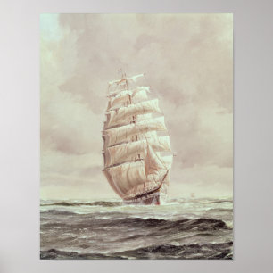 Poster Pince en laine anglaise
