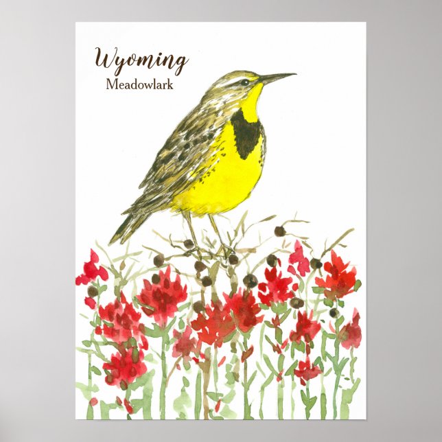 Poster Pinceau indien Meadowlark Wyoming (Devant)