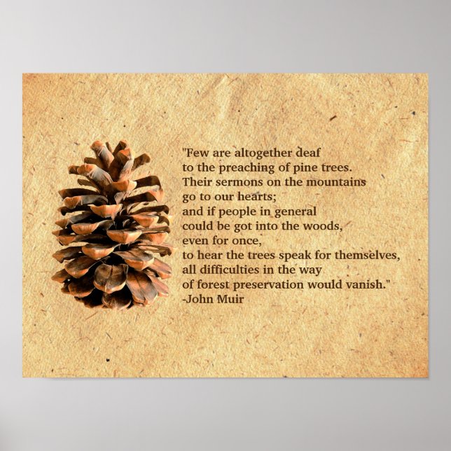 Poster Pine Cone Et John Muir Citation (Devant)