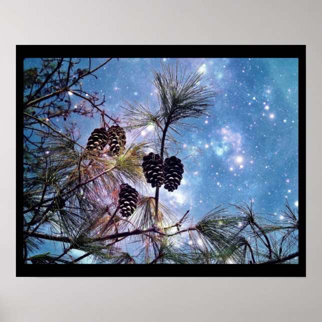 Poster Pine de Noël cônes sous un ciel étoilé (Devant)