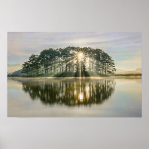 Poster Pine Island Sunray