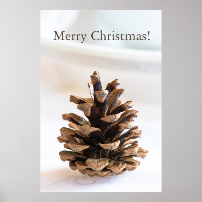 Poster Pinecone (Devant)