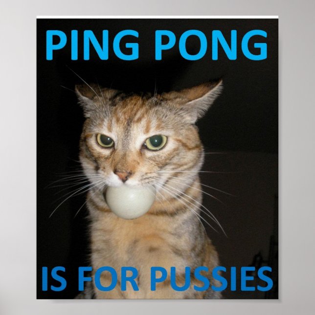 Poster Ping Pong Est Pour Les Chattes (Devant)