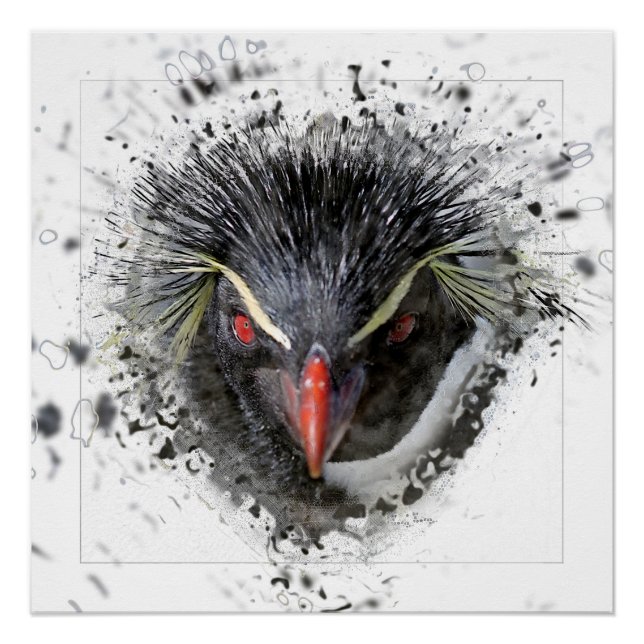 Poster Pingouin (Devant)