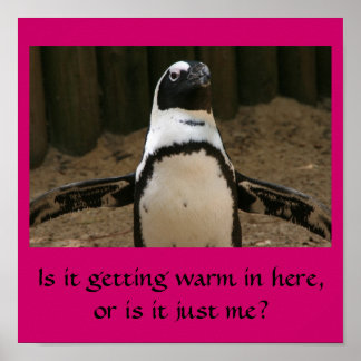 Poster Pingouin ménopausal