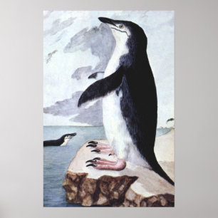 Poster Pingouin vintage Chinstrap, Oiseaux de l'Antarctiq