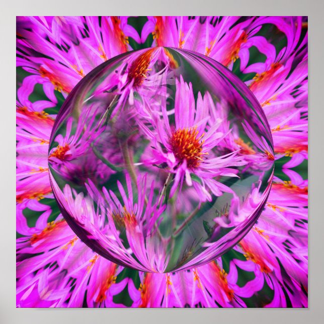 Poster Pink Aster Flower Energies Art Abstrait (Devant)