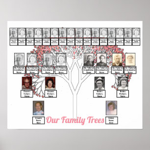 Poster Pink Blossom Fractal Art Tree Two Family Trees