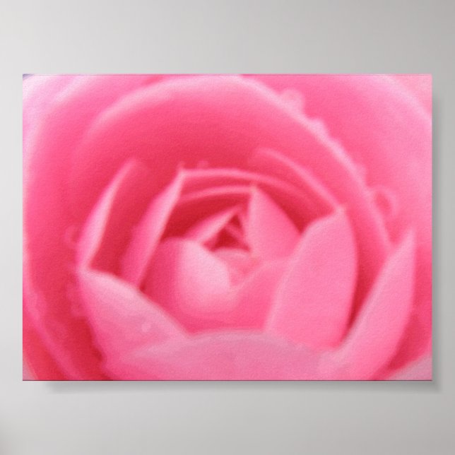 Poster Pink Camelia (Devant)