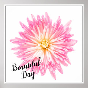 Poster-Pink Dahlia Poster