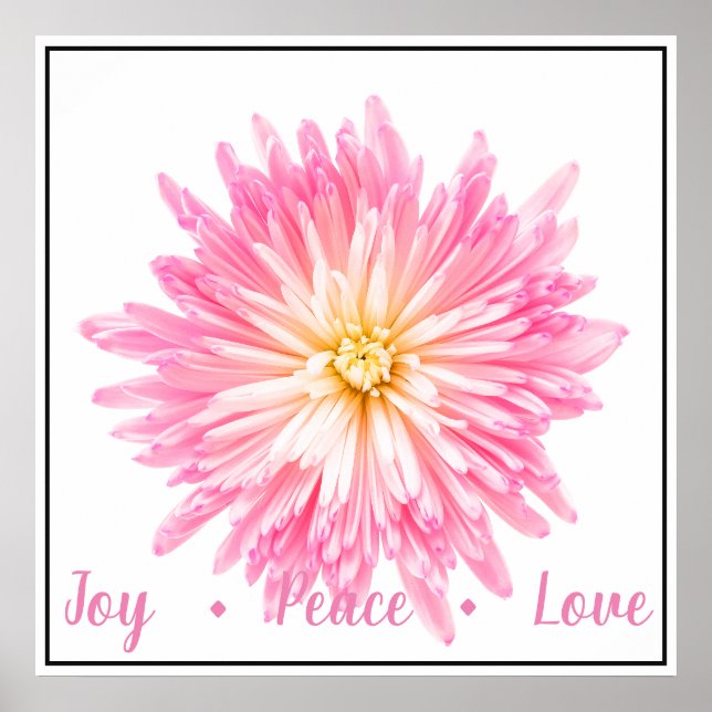 Poster-Pink Dahlia Poster (Front)
