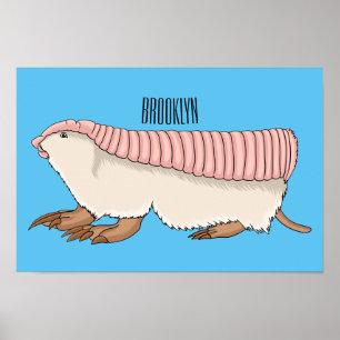 Poster Pink fairy armadillo