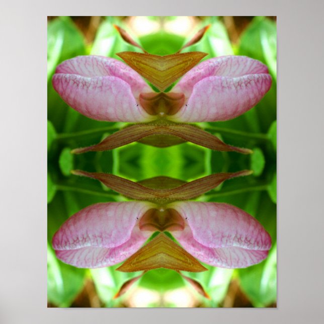 Poster Pink Lady Slipper Orchidée Fleur Fermer Abstraite (Devant)