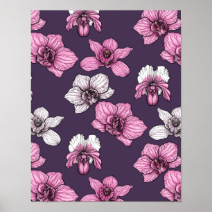 Poster Pink orchid flowers