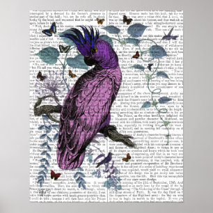 Poster Pink Parrot