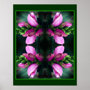 Poster Pink Turtlehead Flower Close Up Mirror Abstrait