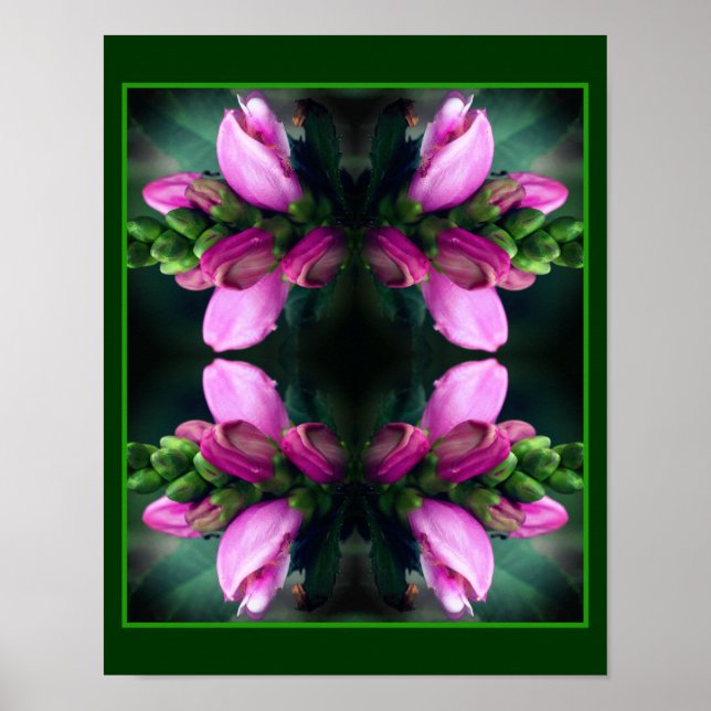Poster Pink Turtlehead Flower Close Up Mirror Abstrait (Devant)