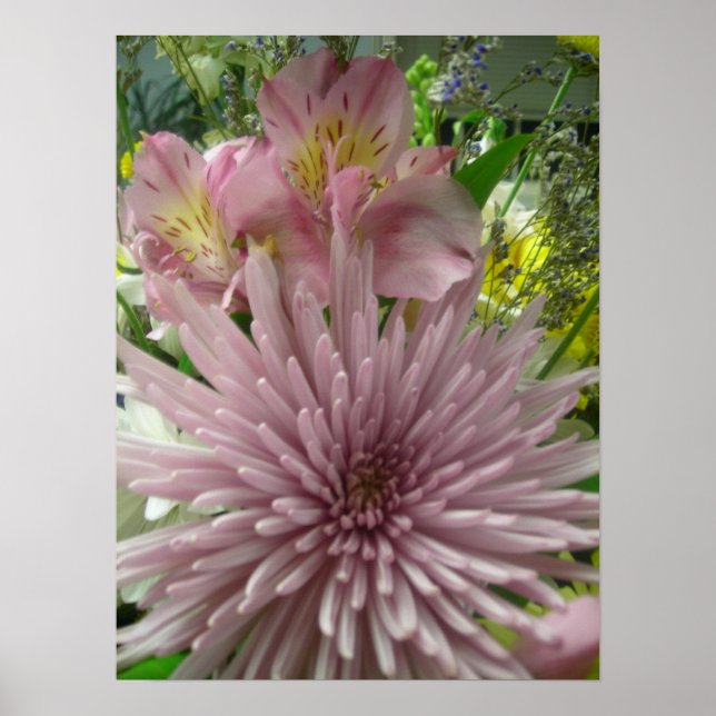 Poster Pinkly Pastel (Devant)