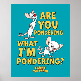 Poster Pinky and the Brain   Are You Pondering?