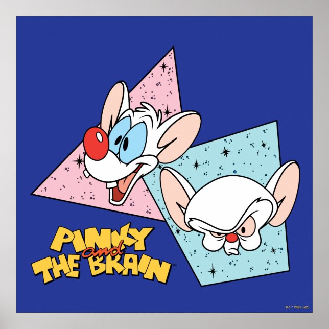 Poster Pinky et le cerveau | Graphiques de caractères rét (Devant)