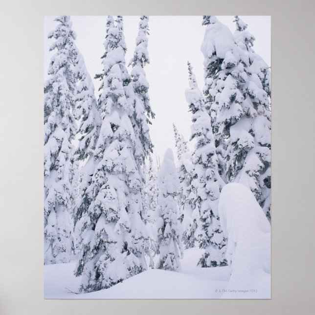 Poster Pins à poteaux de lodge recouverts de neige (Devant)