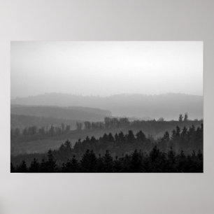 Poster Pins avec brouillard photo nature