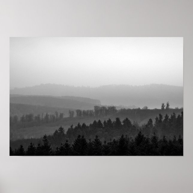 Poster Pins avec brouillard photo nature (Devant)