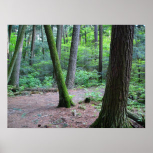 Poster pins de la cathédrale