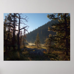 Poster Pins enneigés éclairés par le soleil au lac Dream