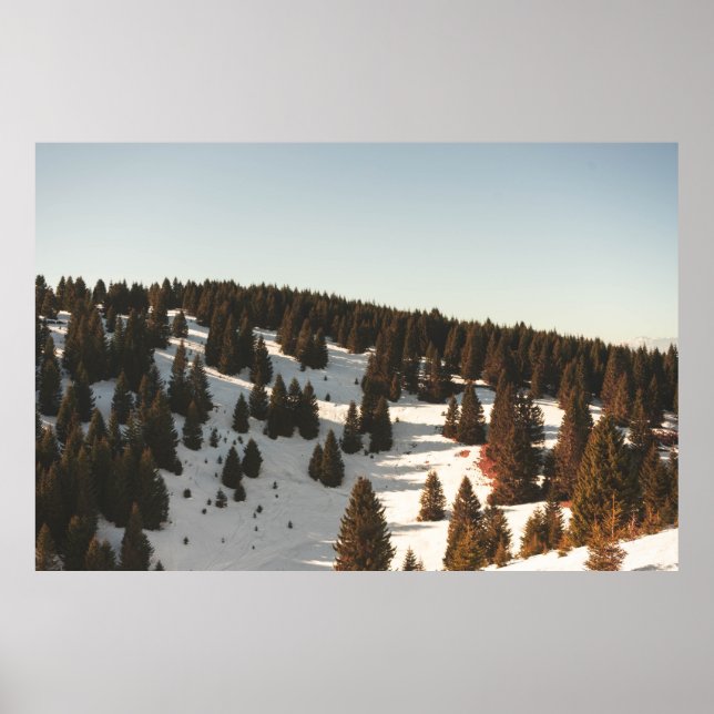 POSTER PINS VERTS (Devant)
