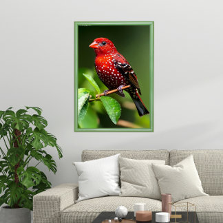 Poster Pinson framboise