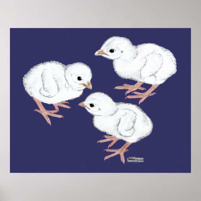 Poster Pintades blanches (Devant)
