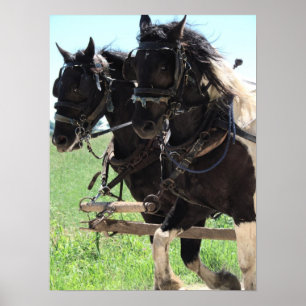 Poster Pinto Drafts au travail