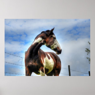 Poster Pinto Paint & Nuages Ranch Horse Equine Photo