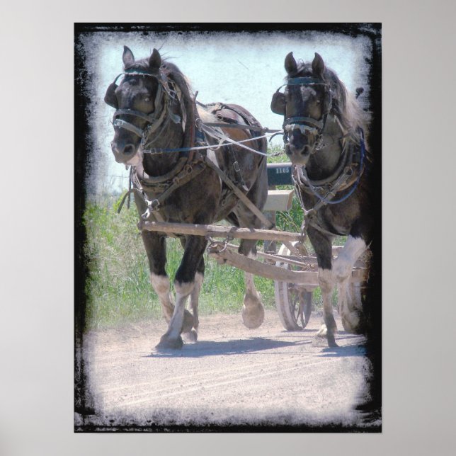 Poster Pintos de travail (Devant)