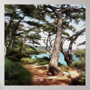 Poster Pinus pinea Pinetree Forest Painting
