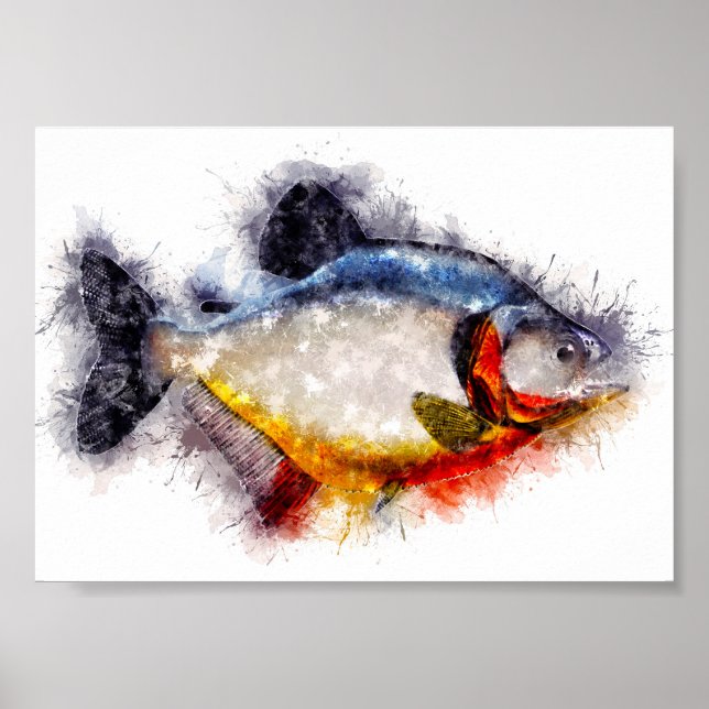 Poster Piranha à ventre rouge aquarelle monstre art poiss (Devant)