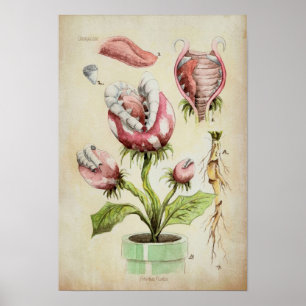 Poster Piranha Plant Botanical Illustration