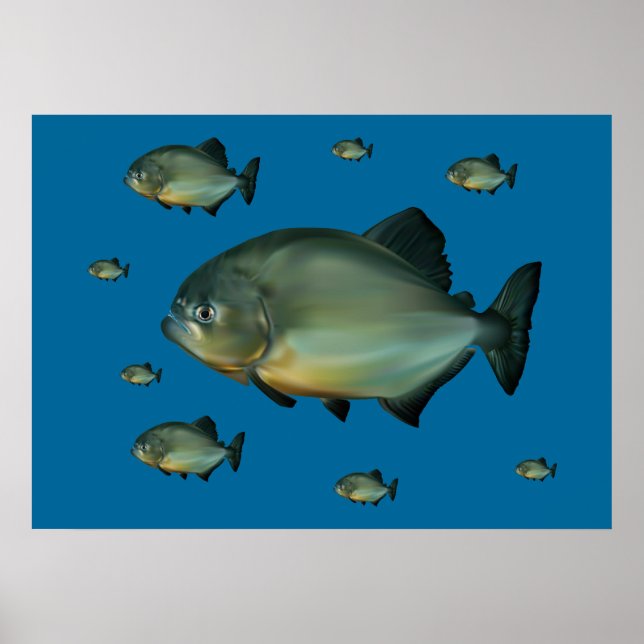 Poster Piranhas (Devant)