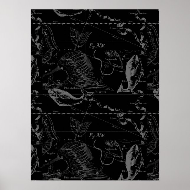 Poster Pisces Constellation Hevelius 1690 sur Black (Devant)