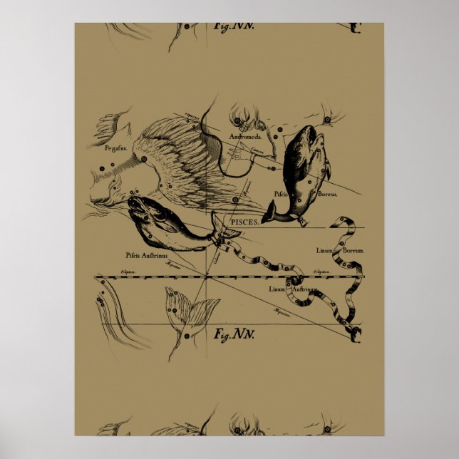 Poster Pisces Constellation Hevelius 1690 sur Taupe (Devant)