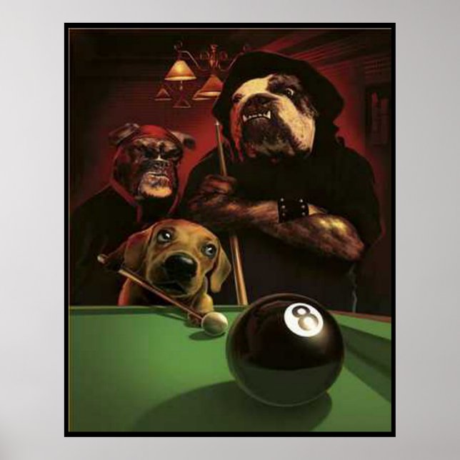 Poster Piscine Pour Chiens - Le Eighball (Devant)