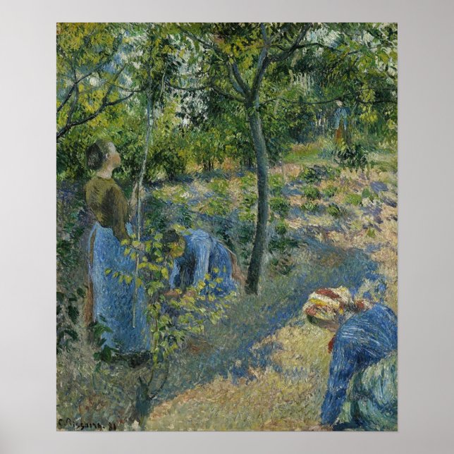 Poster Pissarro - Apple Picking 1881 (Devant)