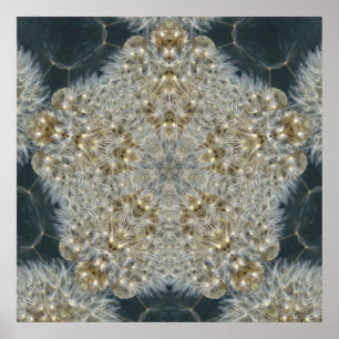 Poster Pissenlit étoile en novembre 2012