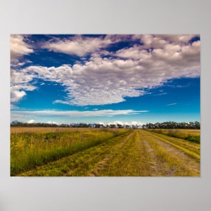 Poster Piste dans Kissimmee Prairie Preserve State Park, 
