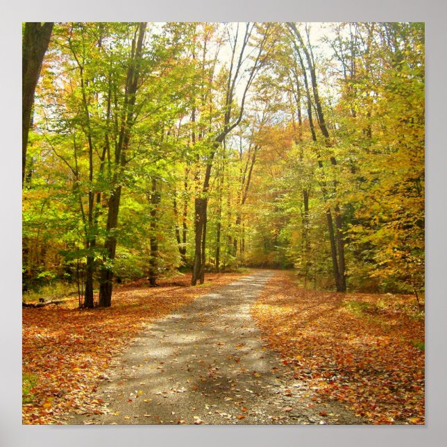 Poster Piste d'automne (Devant)