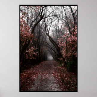 Poster Piste de chute Foggy