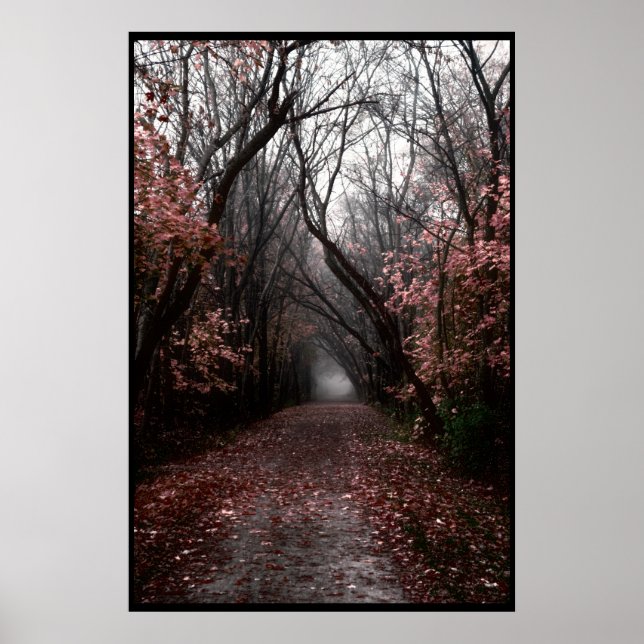 Poster Piste de chute Foggy (Devant)